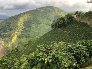 2686_822us4RWpTbJ8sUYEXSSxaEhZH6dNY94